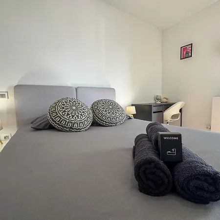 Cactus Groupama Stadium-ldlc Arena-eurexpo دوسين شاربْيوه