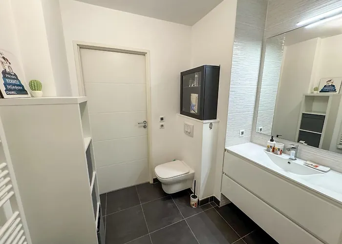 Apartamento Cactus Groupama Stadium-ldlc Arena-eurexpo Décines-Charpieu